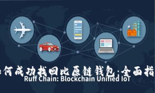 如何成功找回比原链钱包：全面指南